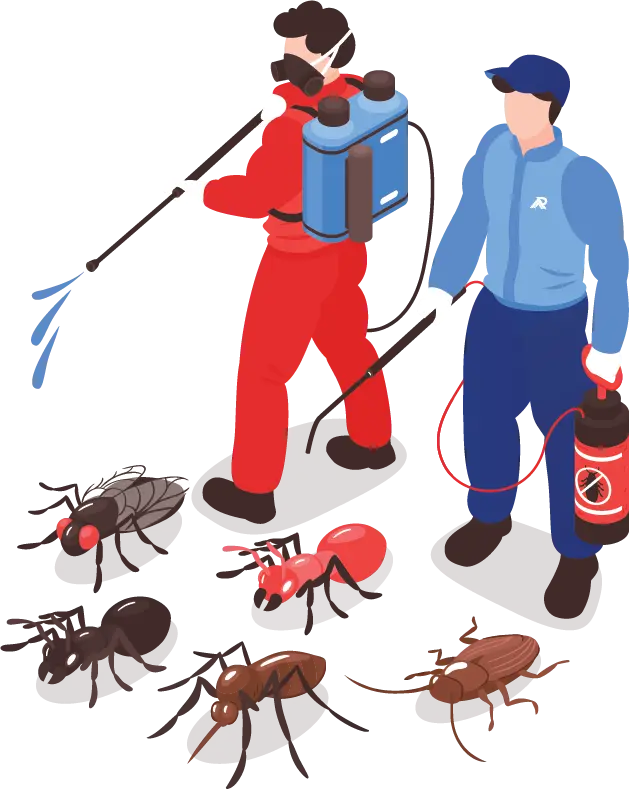 pest control in Business Bay